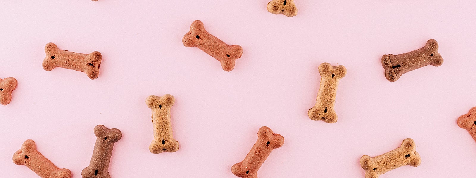 Dog bone treats